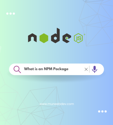 What is an NPM Package – MuneebDev