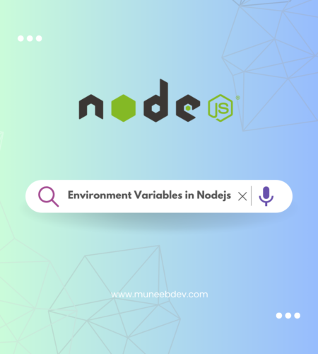 Environment Variables in Nodejs